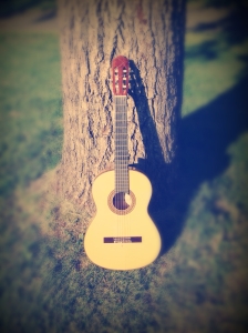 Sunny Guitar